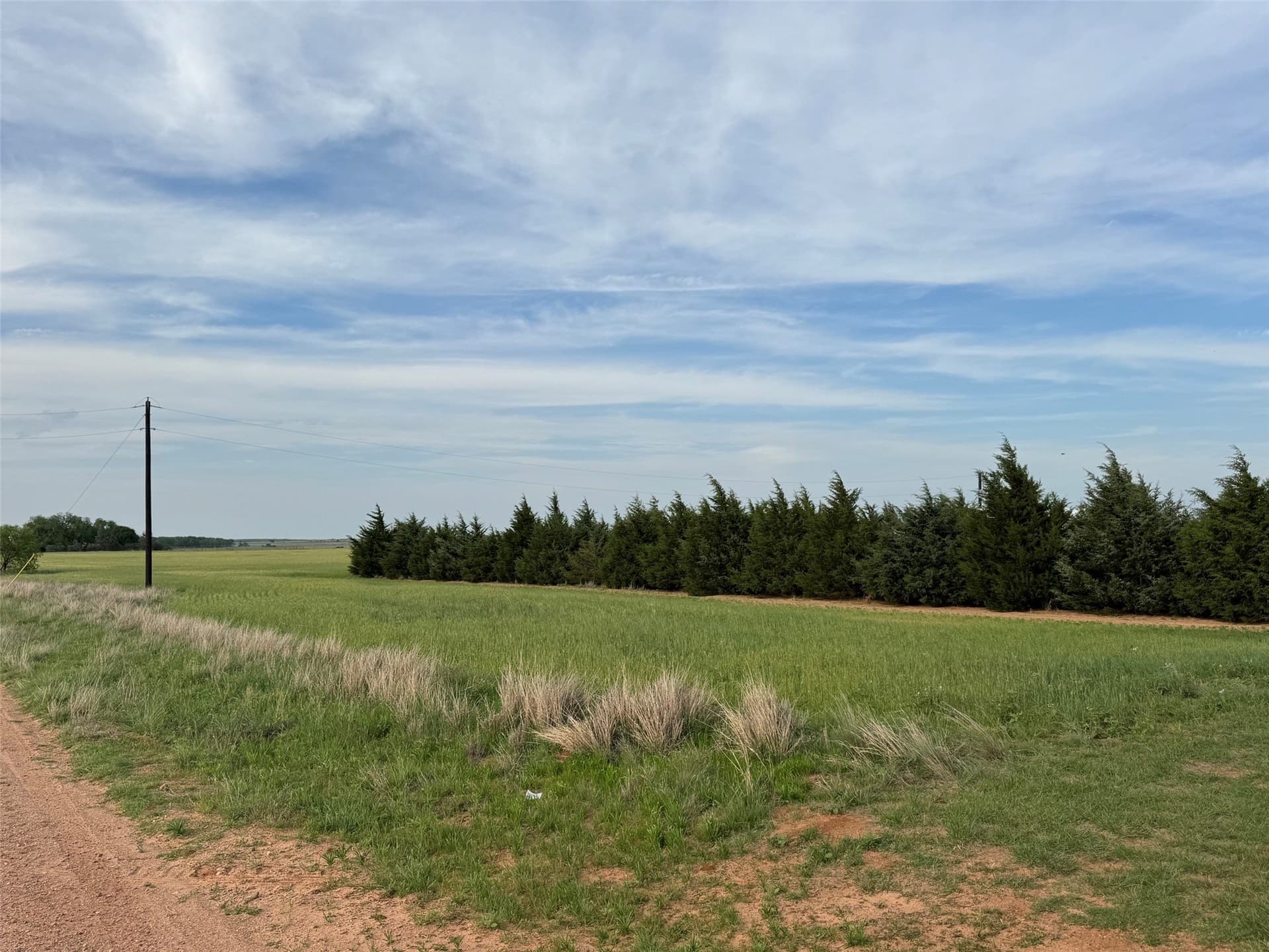 75.41 acres in Baylor County gallery image 3