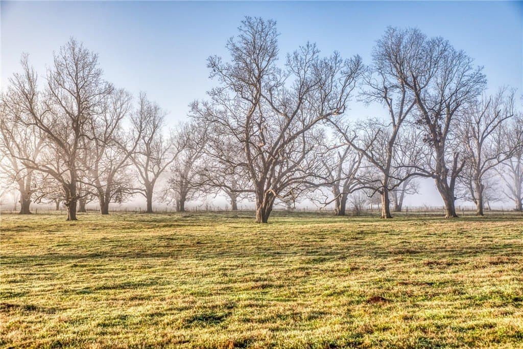 360.38 acres in AUSTIN County - photo 8