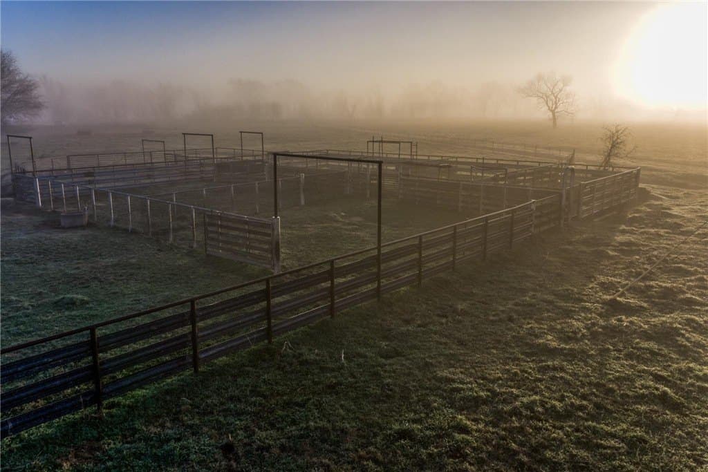 360.38 acres in AUSTIN County - photo 17