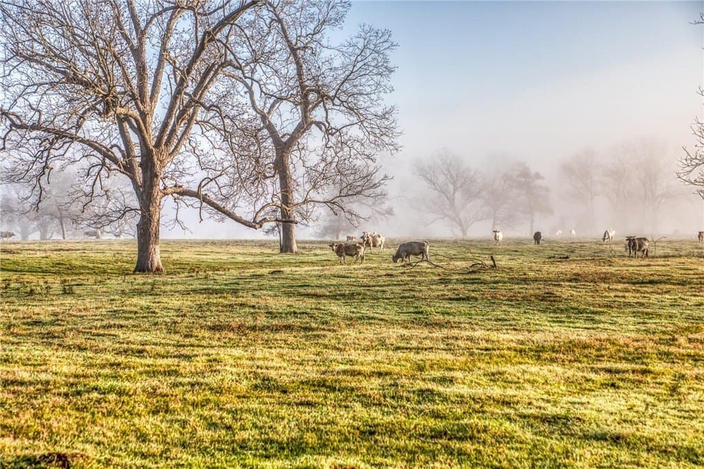 360.38 acres in AUSTIN County - photo 11