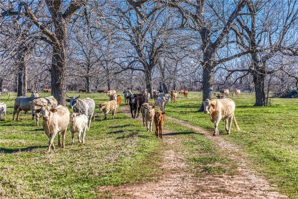 360.38 acres in AUSTIN County - photo 7