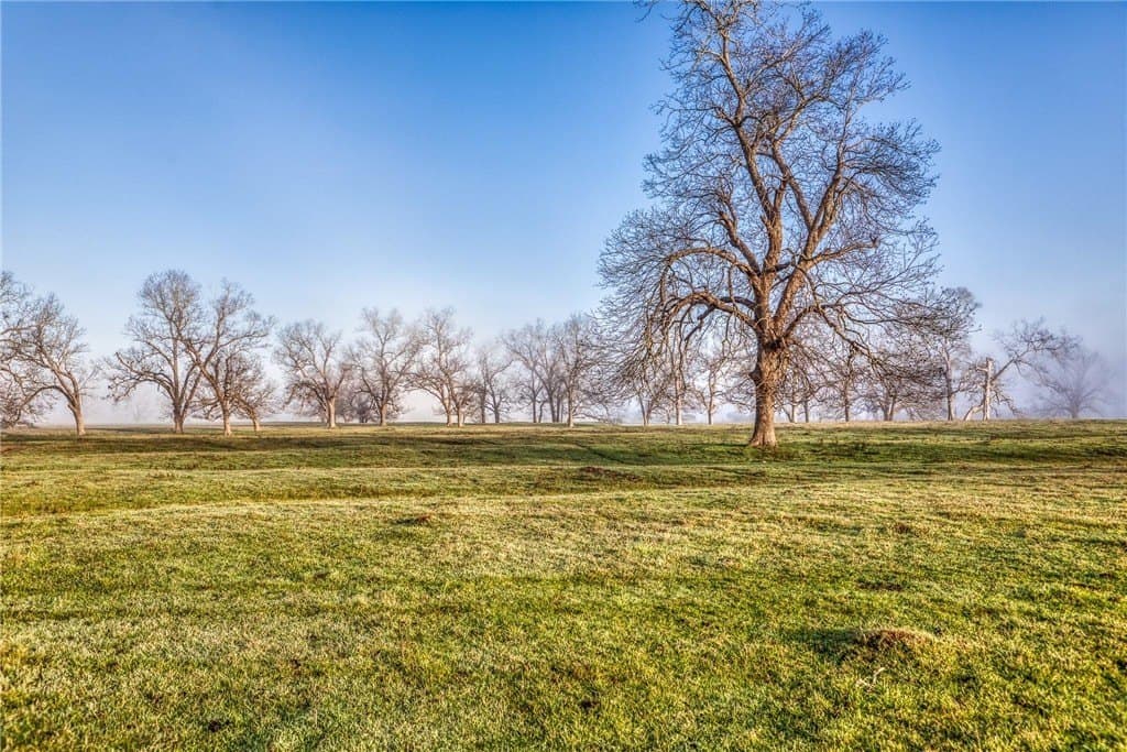 360.38 acres in AUSTIN County - photo 10