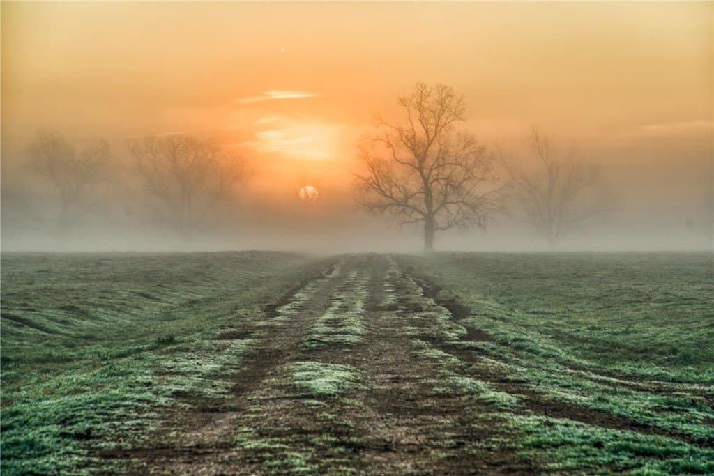 360.38 acres in AUSTIN County - photo 6