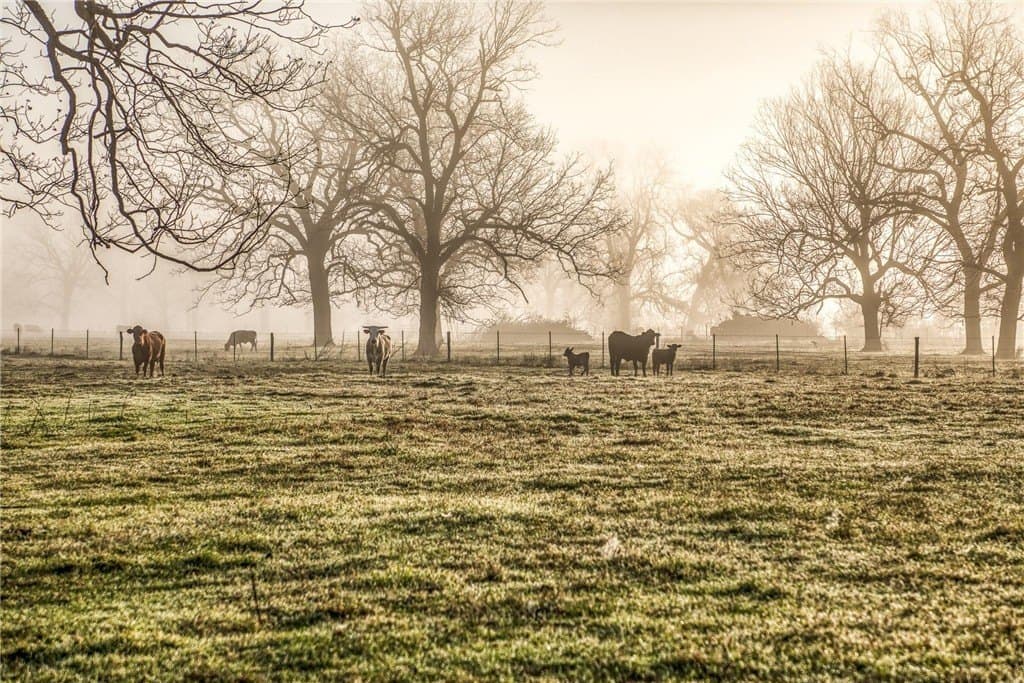 360.38 acres in AUSTIN County - photo 2
