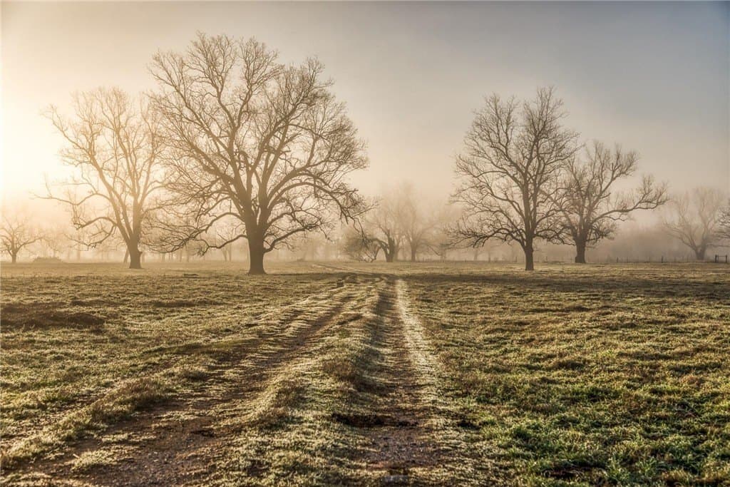 360.38 acres in AUSTIN County - photo 4