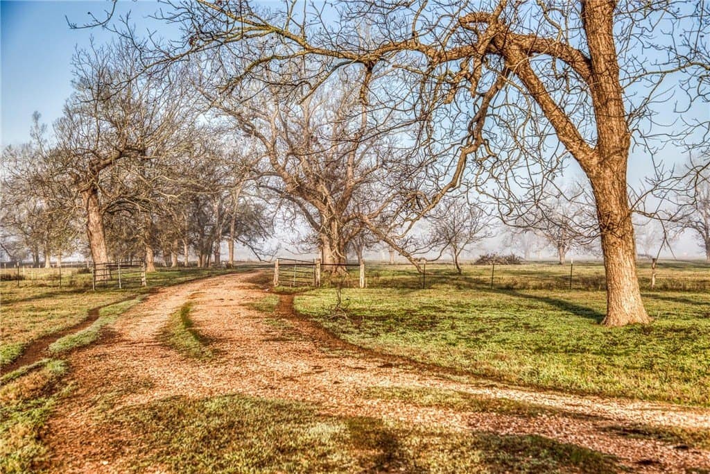 360.38 acres in AUSTIN County - photo 12