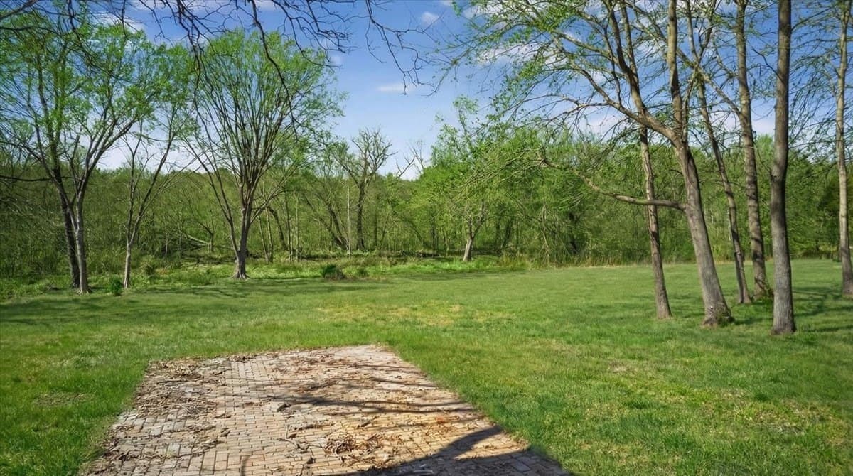 2.82 acres in Henderson County gallery image 3