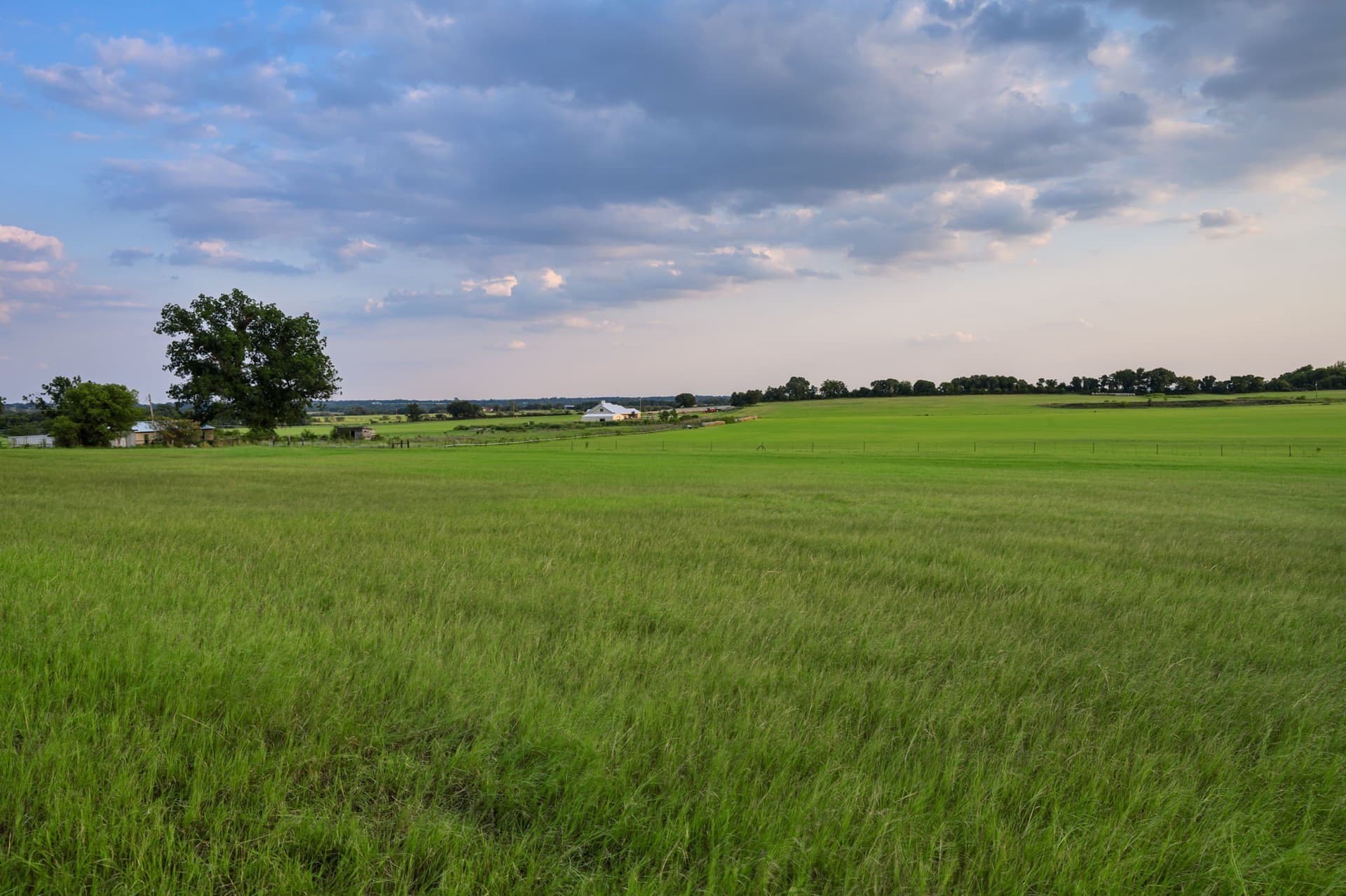61.45 acres in Comanche County - photo 5
