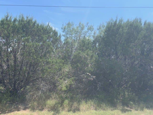 0.26 acres in Hill County - photo 3