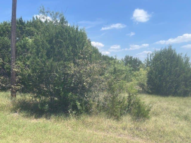 0.26 acres in Hill County - photo 2