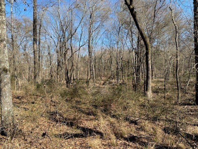 149 acres in Henderson County - photo 32
