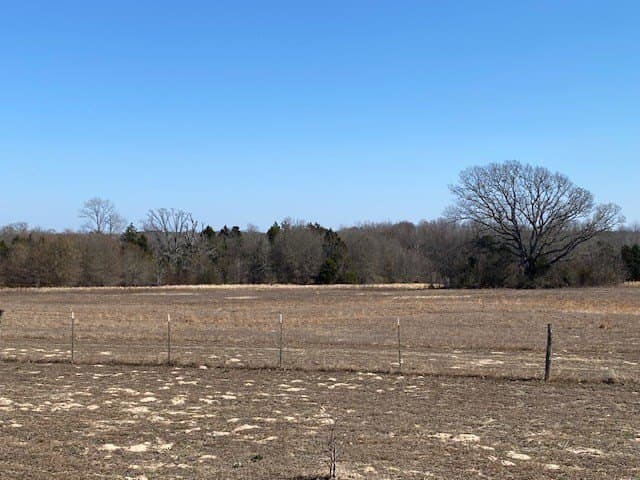 149 acres in Henderson County - photo 38
