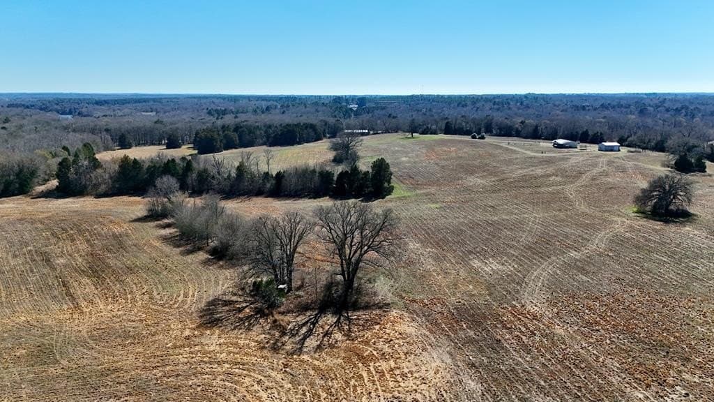 149 acres in Henderson County - photo 35