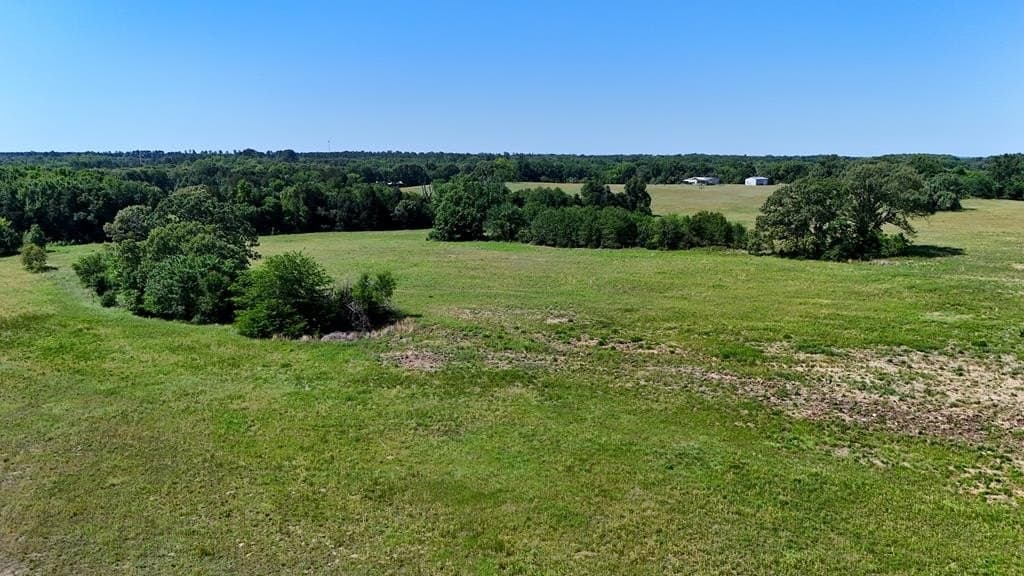 149 acres in Henderson County - photo 8