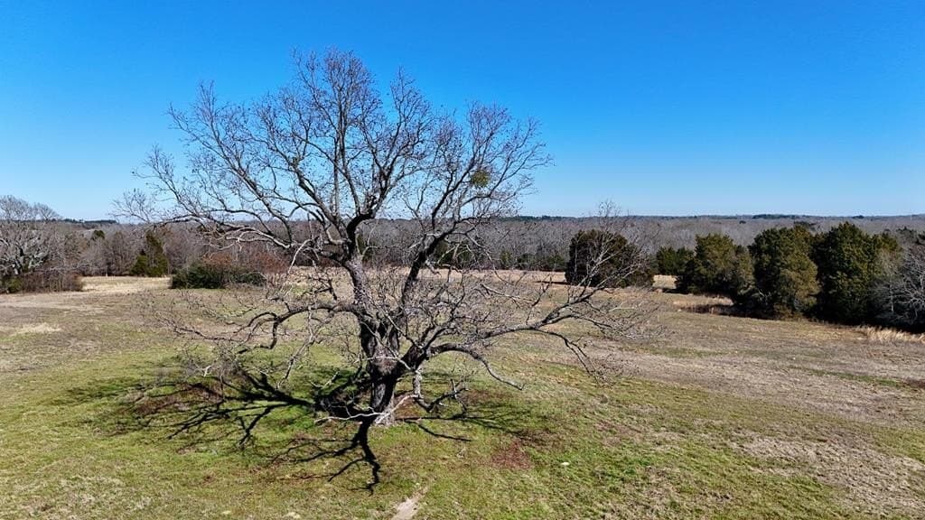 149 acres in Henderson County - photo 26