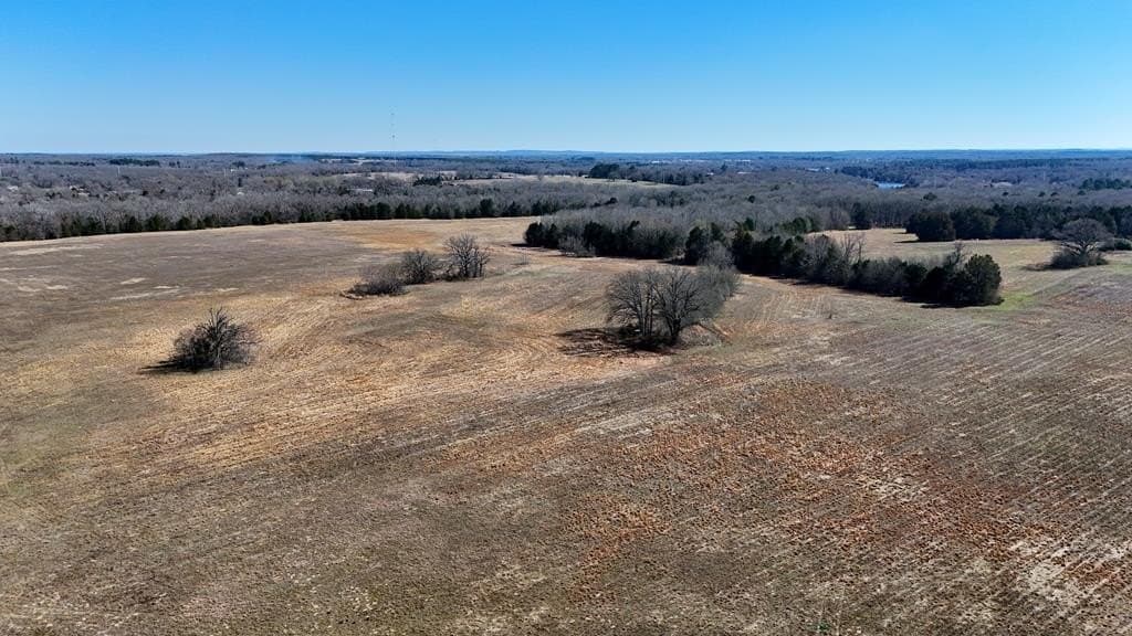 149 acres in Henderson County - photo 33