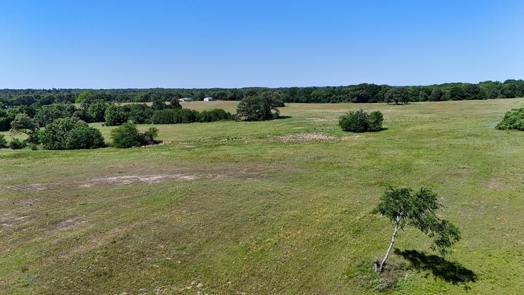 149 acres in Henderson County - photo 7