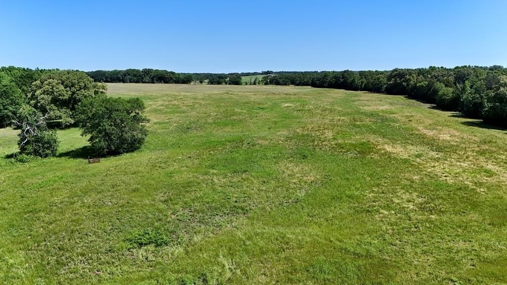149 acres in Henderson County - photo 6