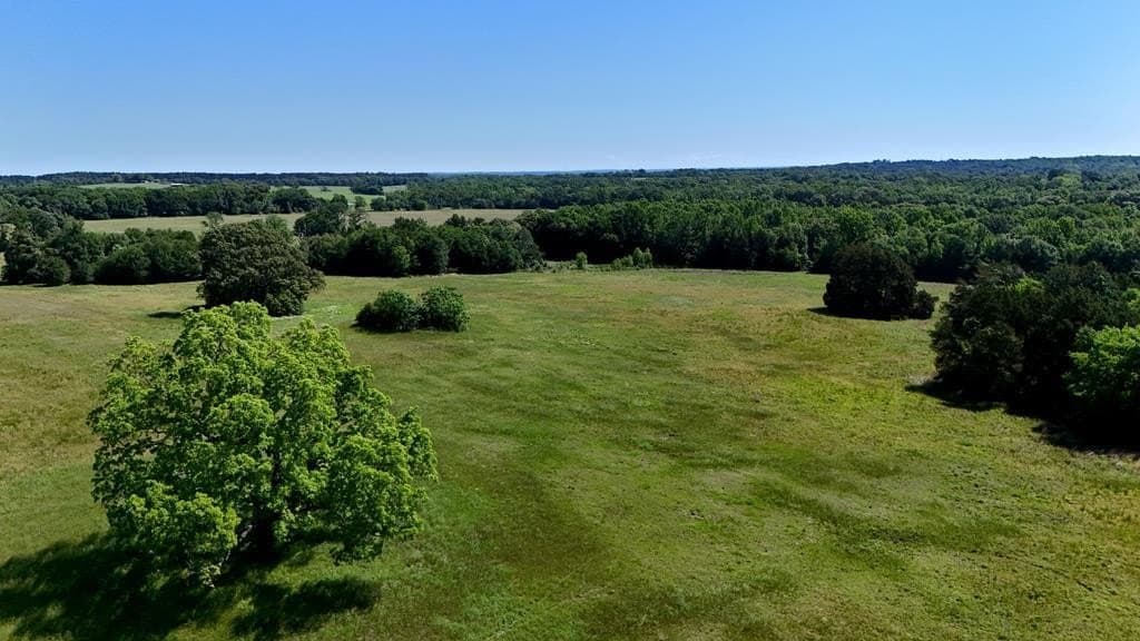 149 acres in Henderson County