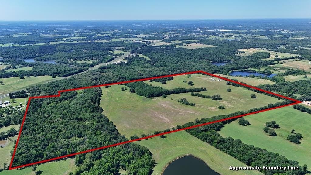 149 acres in Henderson County - photo 5