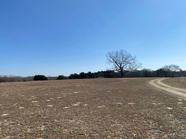 149 acres in Henderson County - photo 39