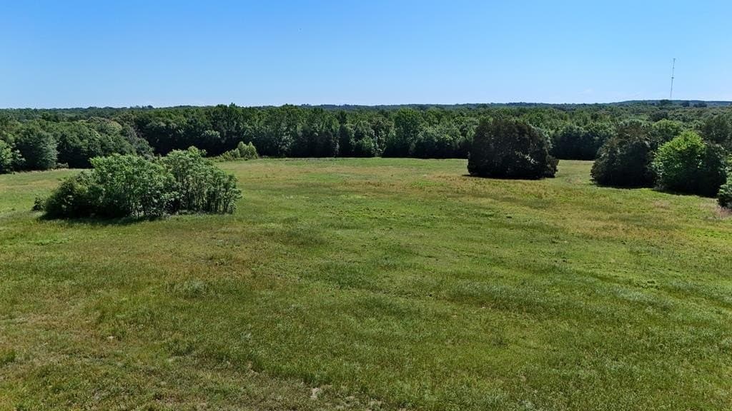 149 acres in Henderson County - photo 4