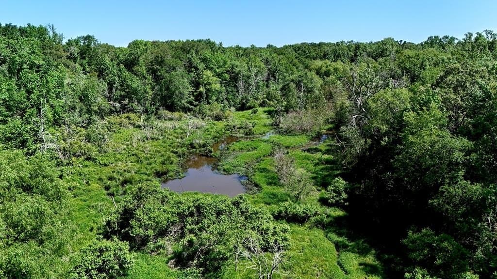 149 acres in Henderson County - photo 2