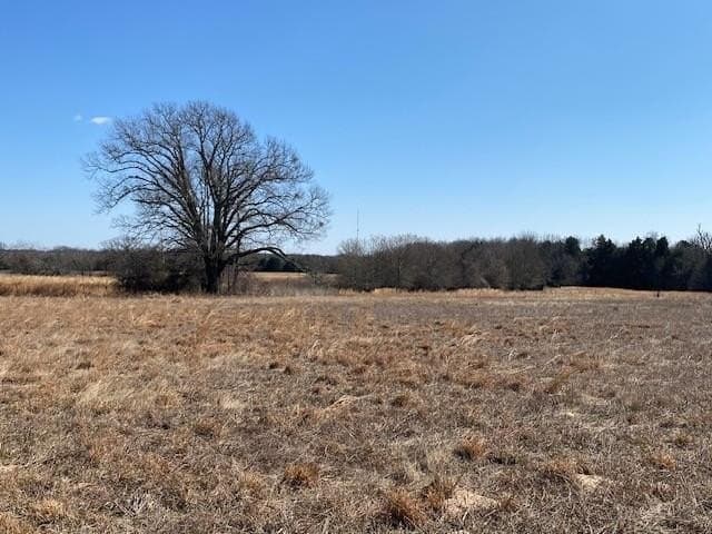 149 acres in Henderson County - photo 36