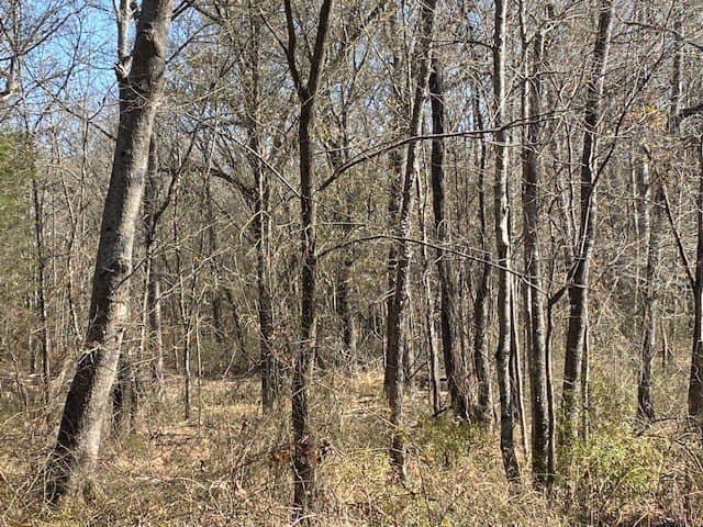 149 acres in Henderson County - photo 30