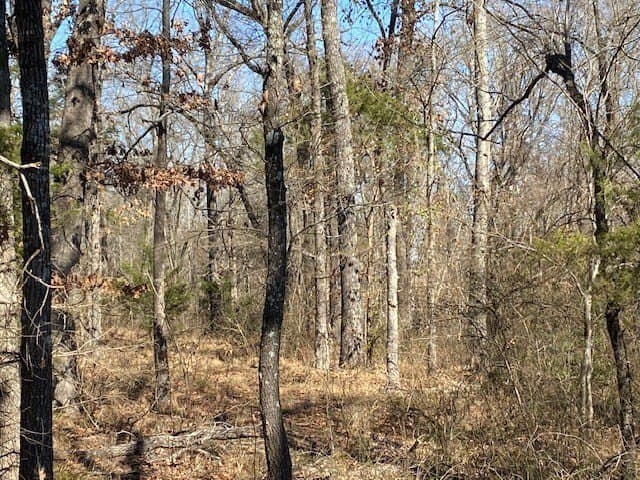 149 acres in Henderson County - photo 31
