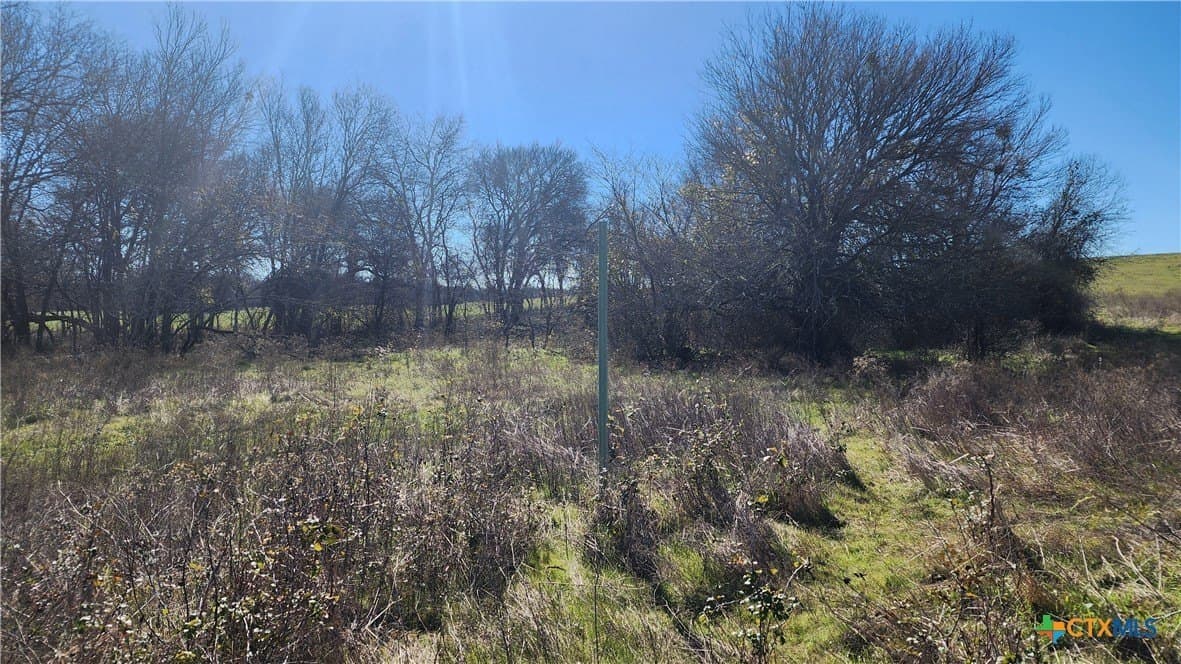 87 acres in Bell County - photo 34