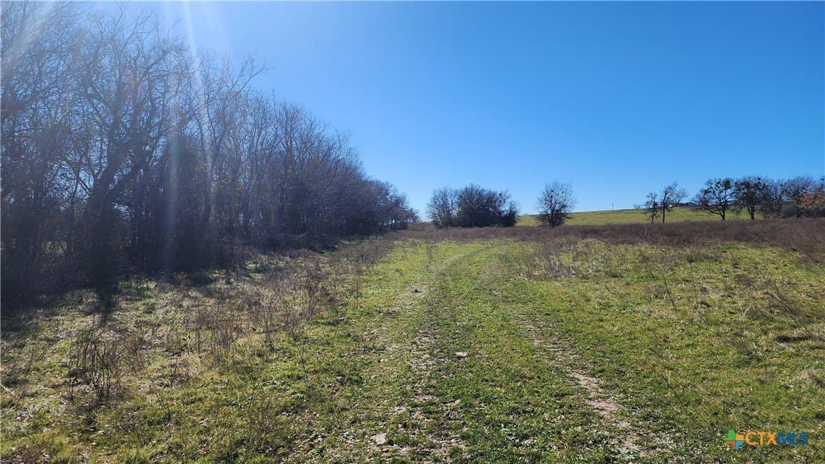87 acres in Bell County - photo 33