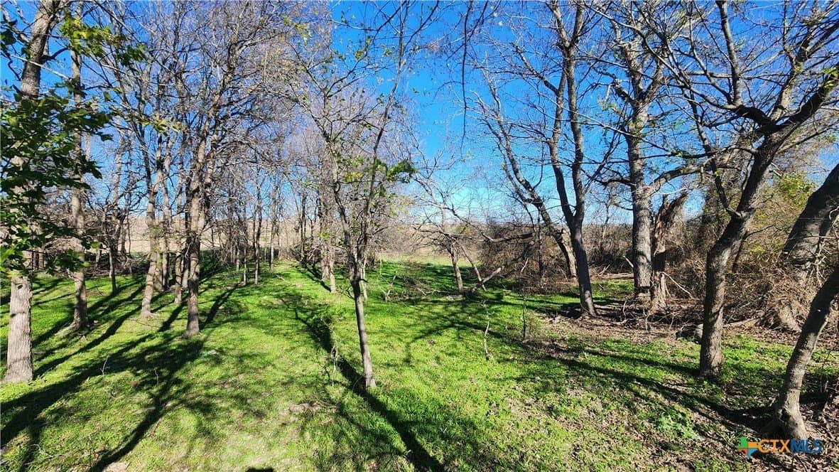 87 acres in Bell County - photo 10