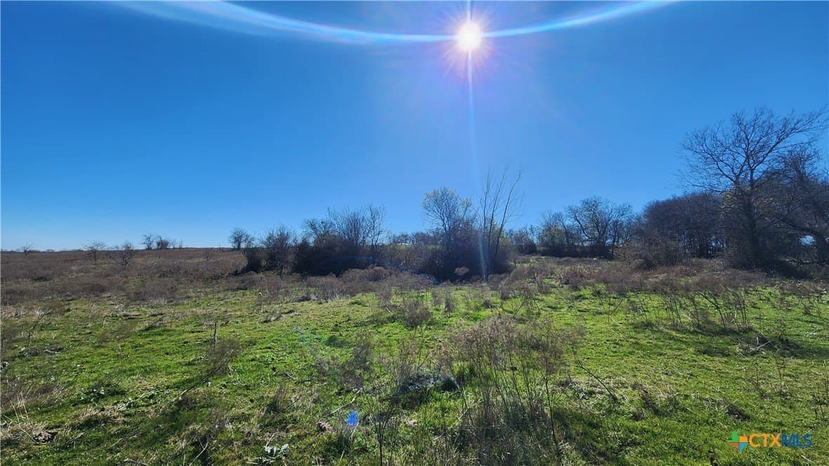 87 acres in Bell County - photo 15