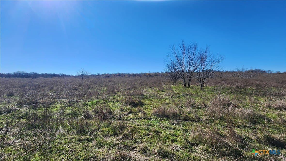 87 acres in Bell County - photo 21