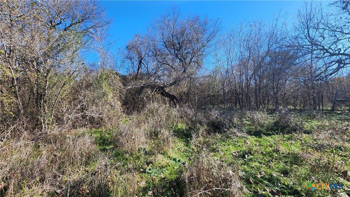 87 acres in Bell County - photo 26