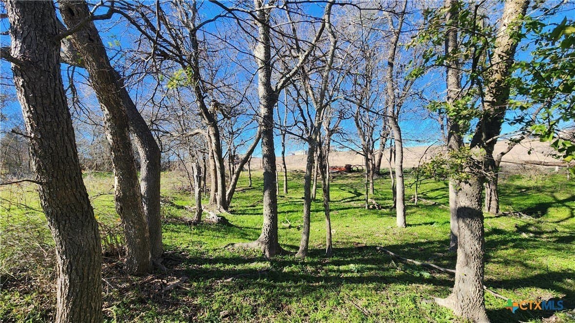 87 acres in Bell County - photo 11