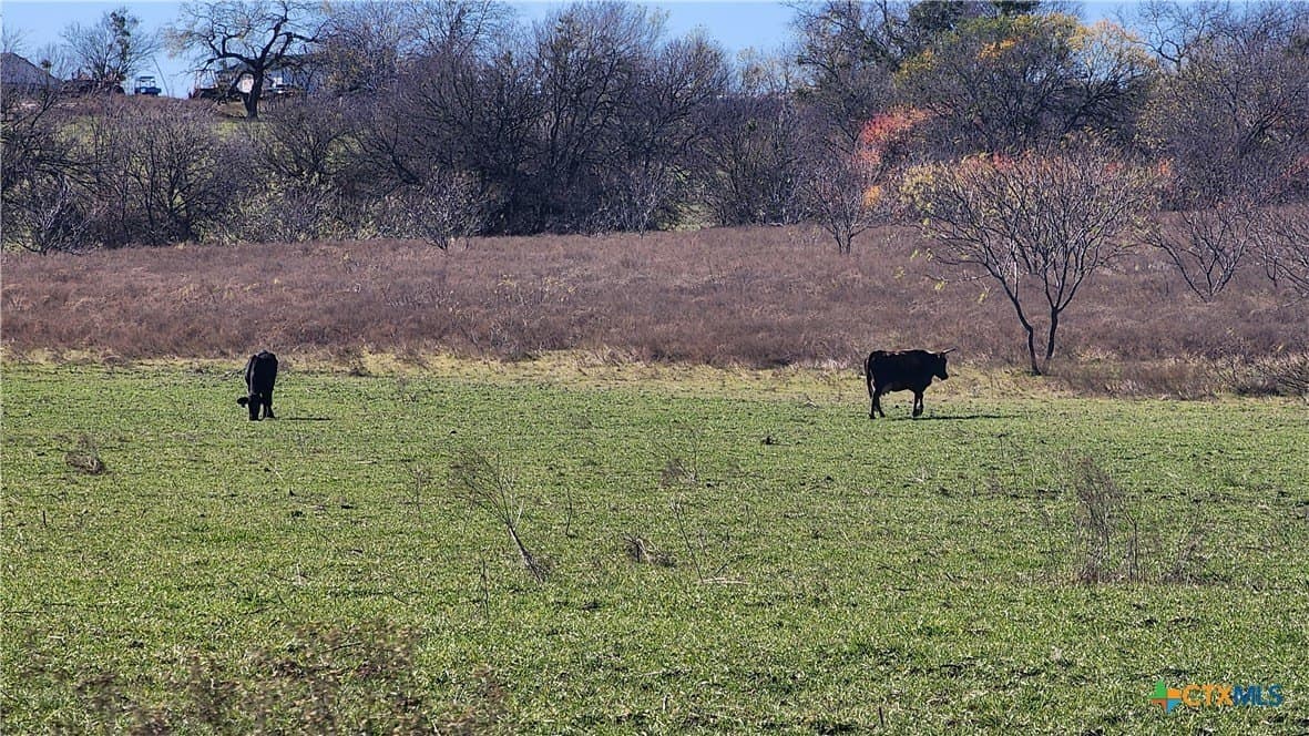 87 acres in Bell County - photo 30