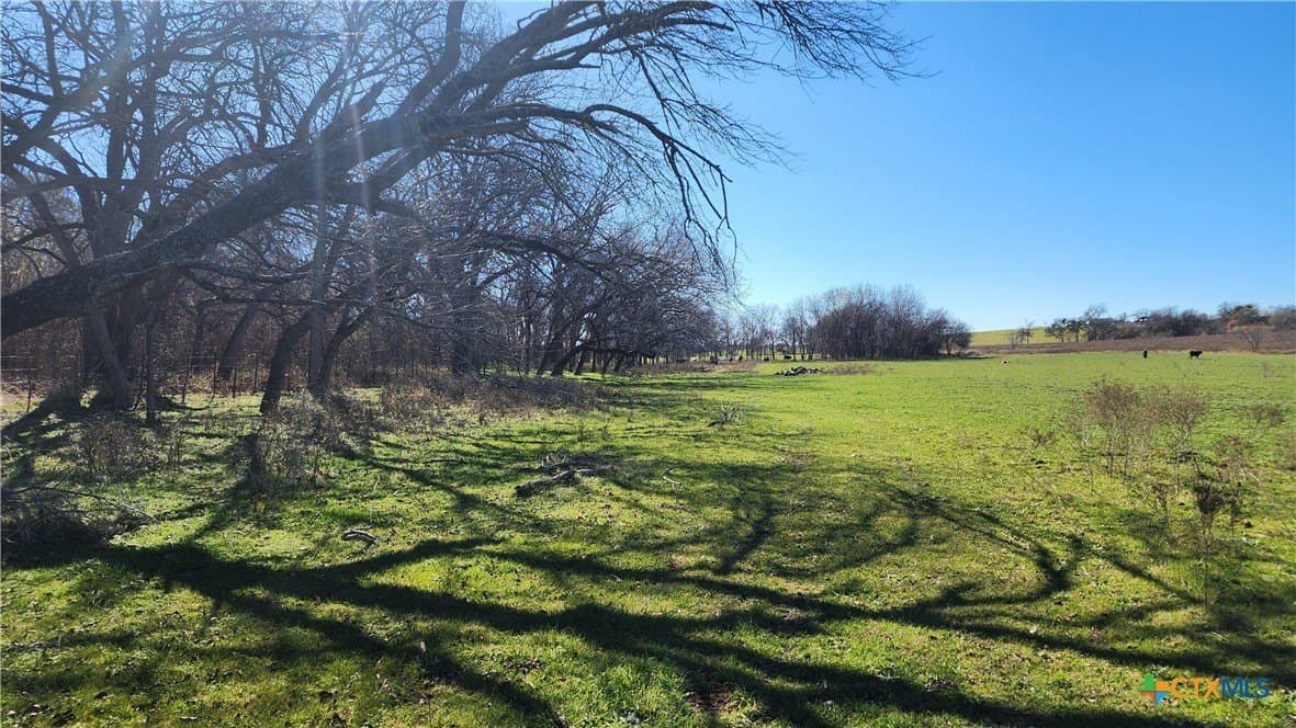 87 acres in Bell County - photo 29