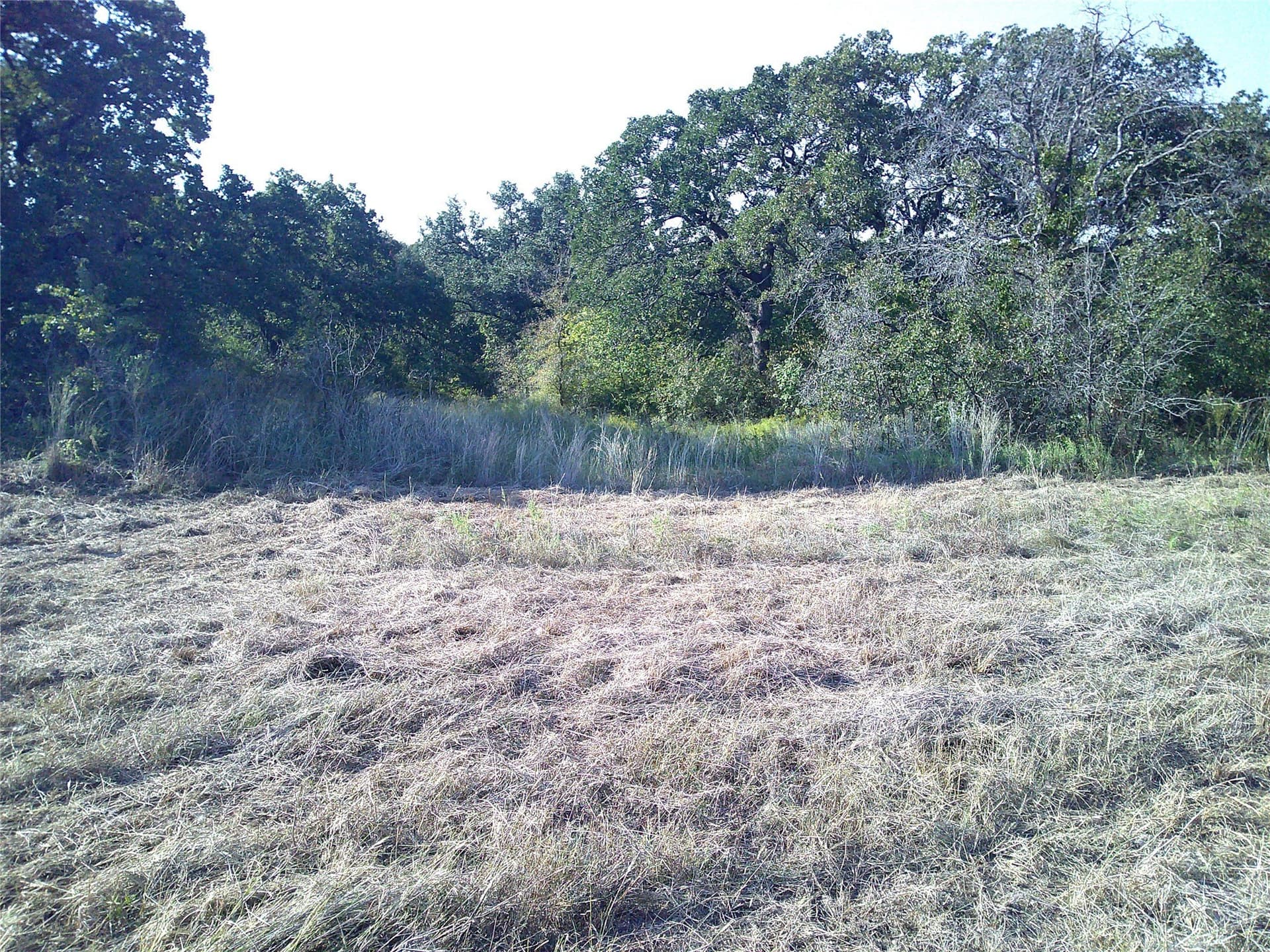 72.59 acres in Wise County - photo 5