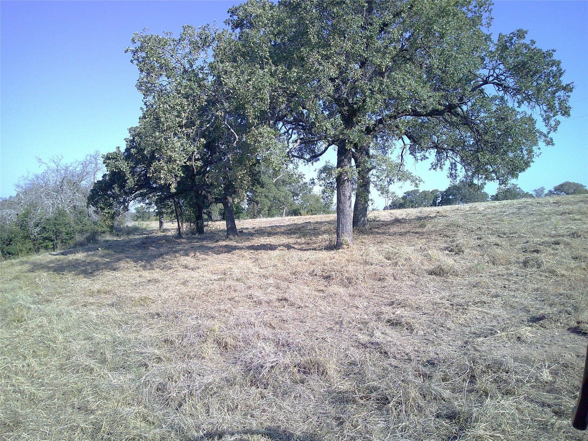 72.59 acres in Wise County - photo 7