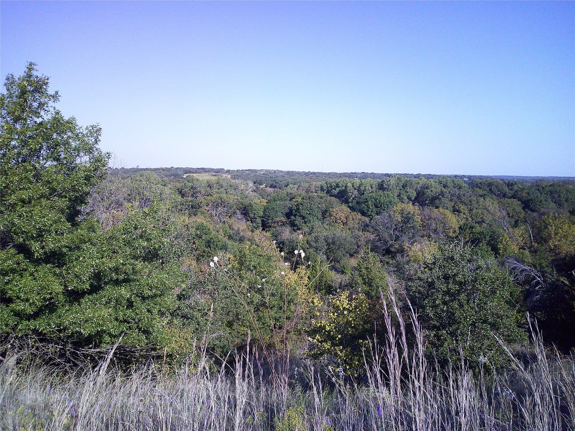 72.59 acres in Wise County - photo 8