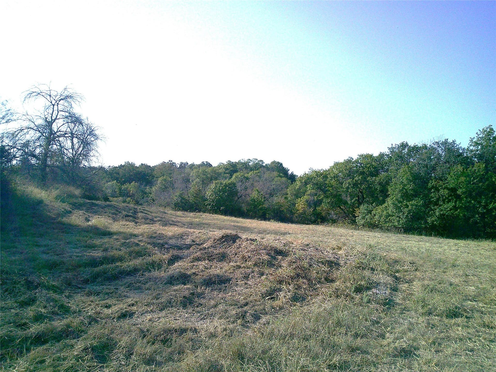 72.59 acres in Wise County - photo 14