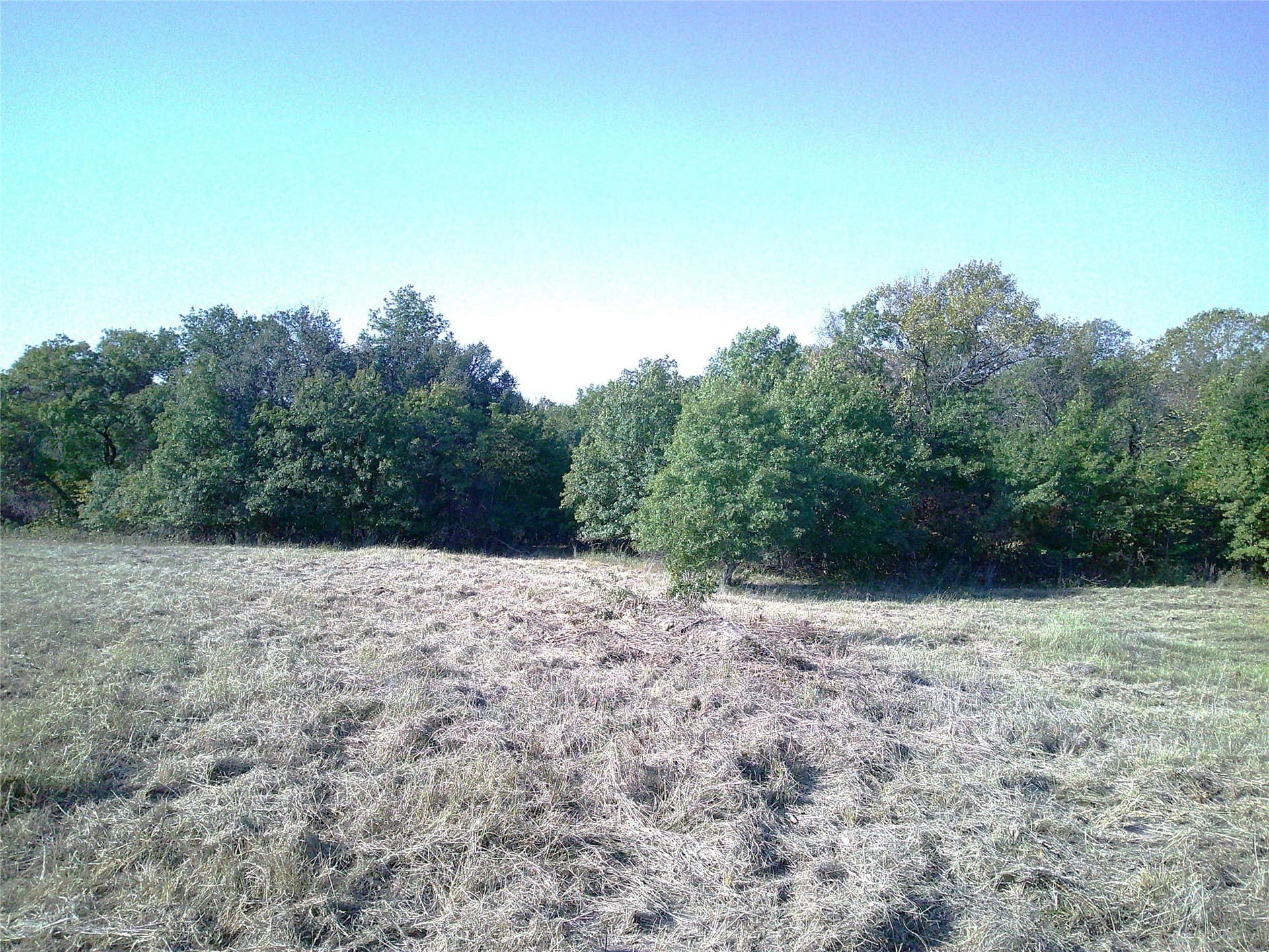 72.59 acres in Wise County - photo 15