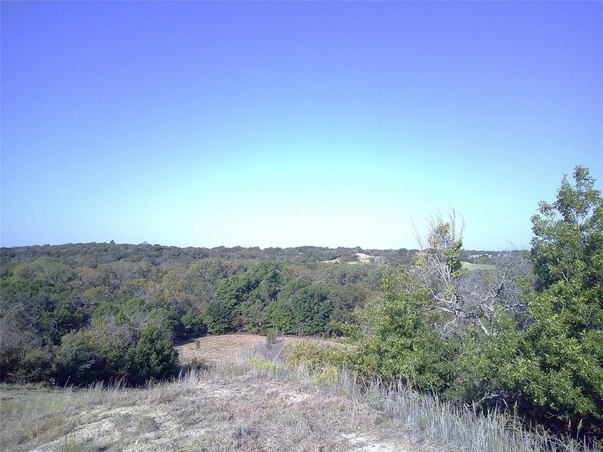 72.59 acres in Wise County - photo 10