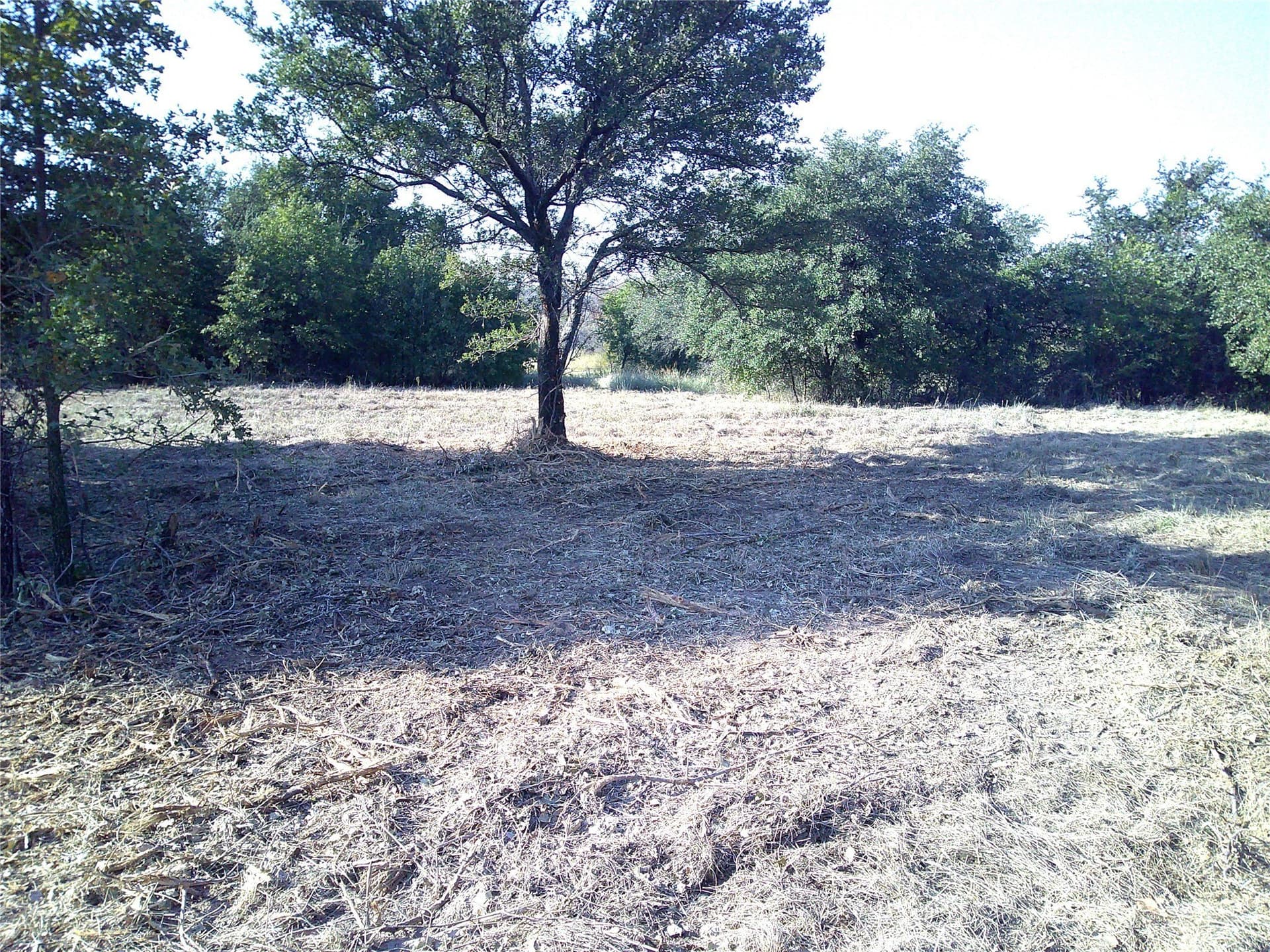 72.59 acres in Wise County - photo 4