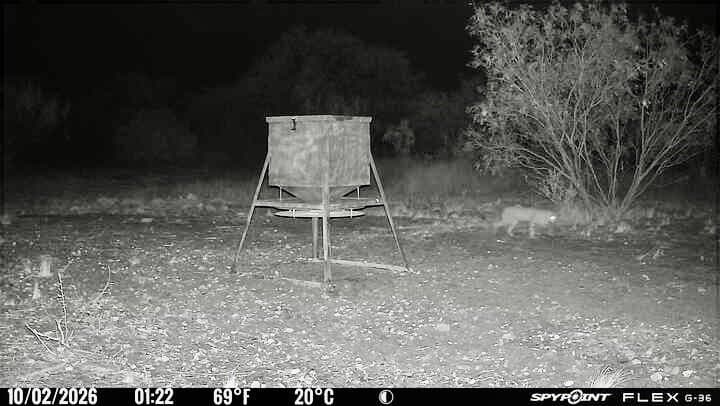 60 acres in Mills County - photo 16
