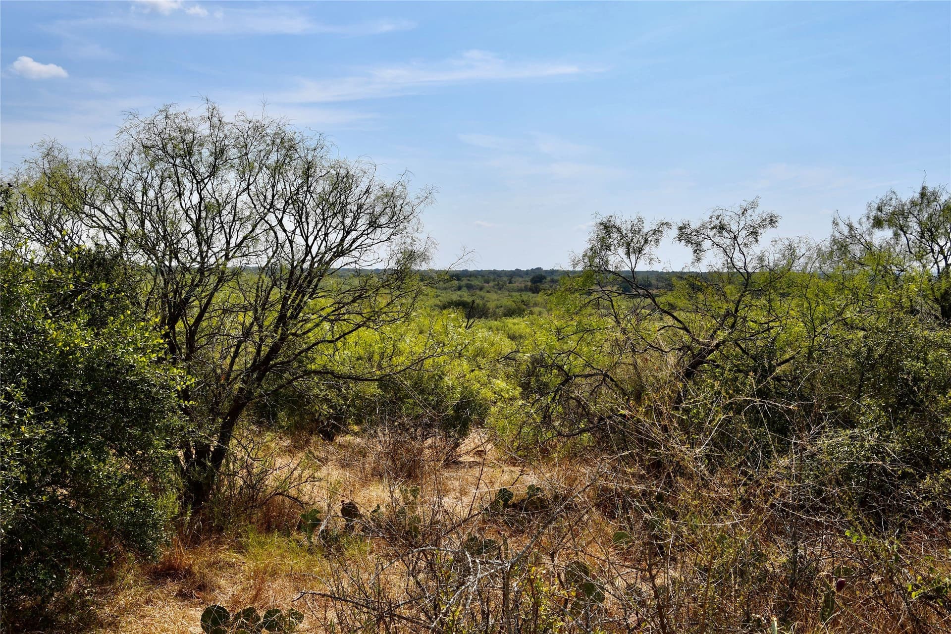 60 acres in Mills County - photo 29