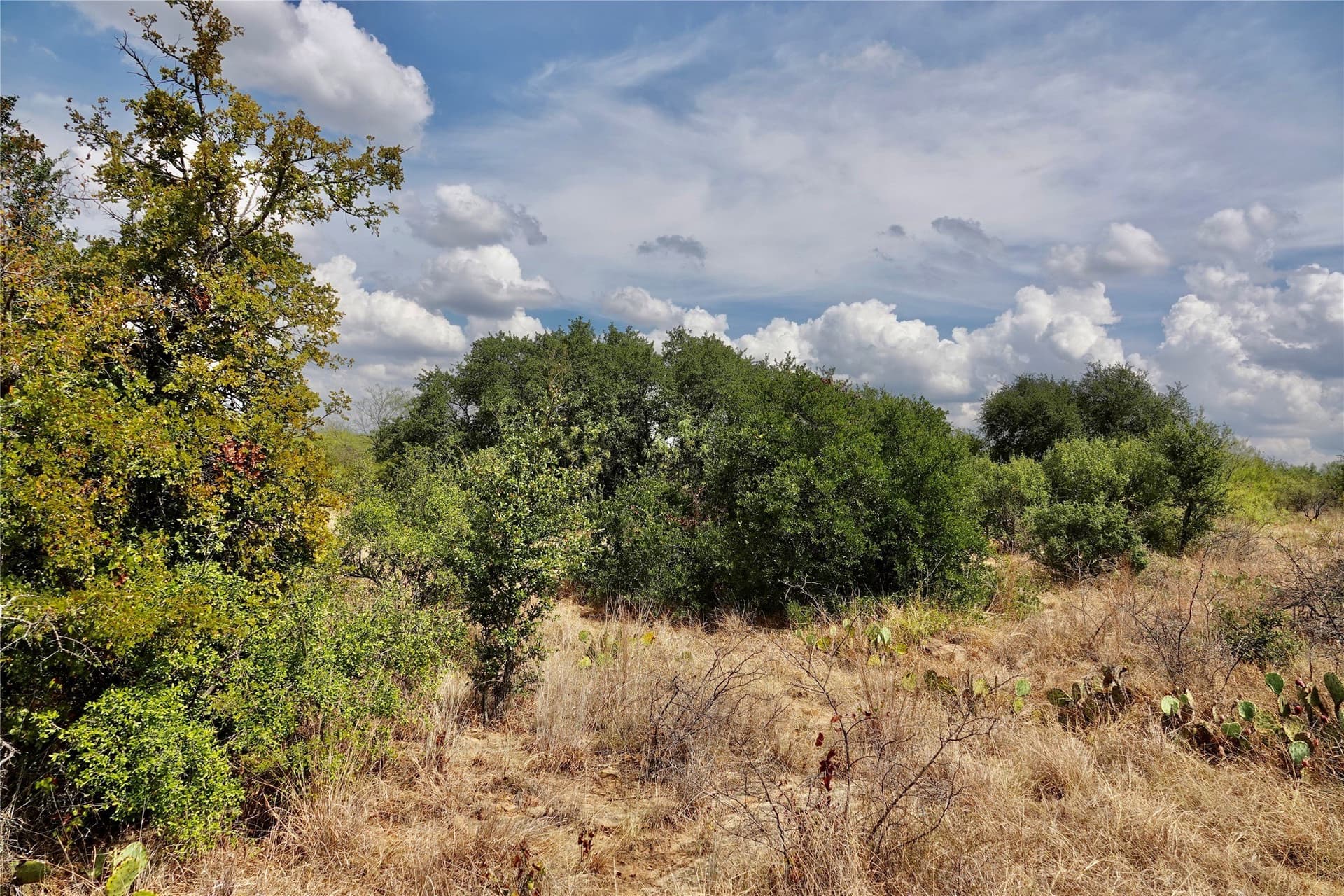 60 acres in Mills County - photo 34