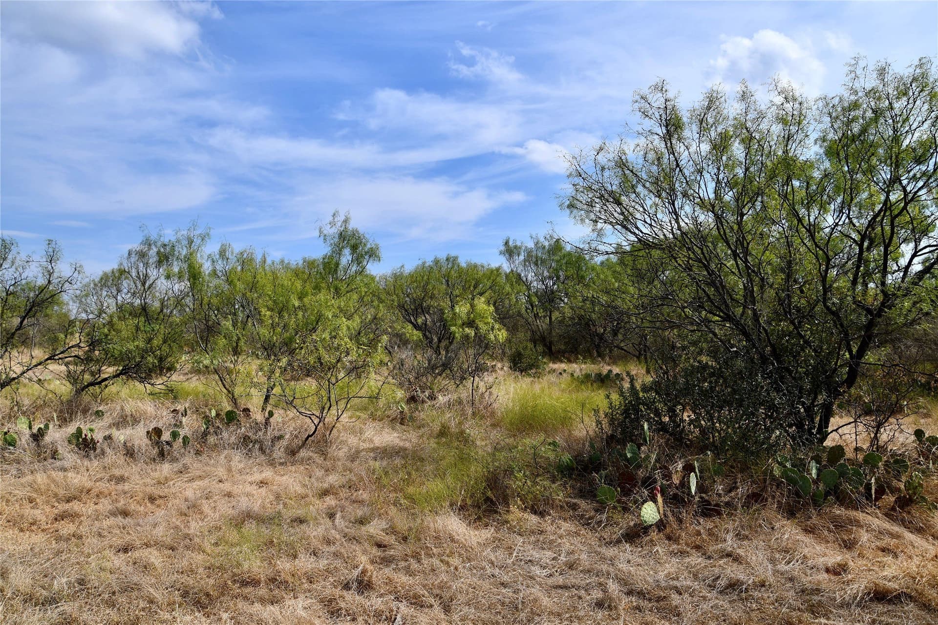 60 acres in Mills County - photo 28